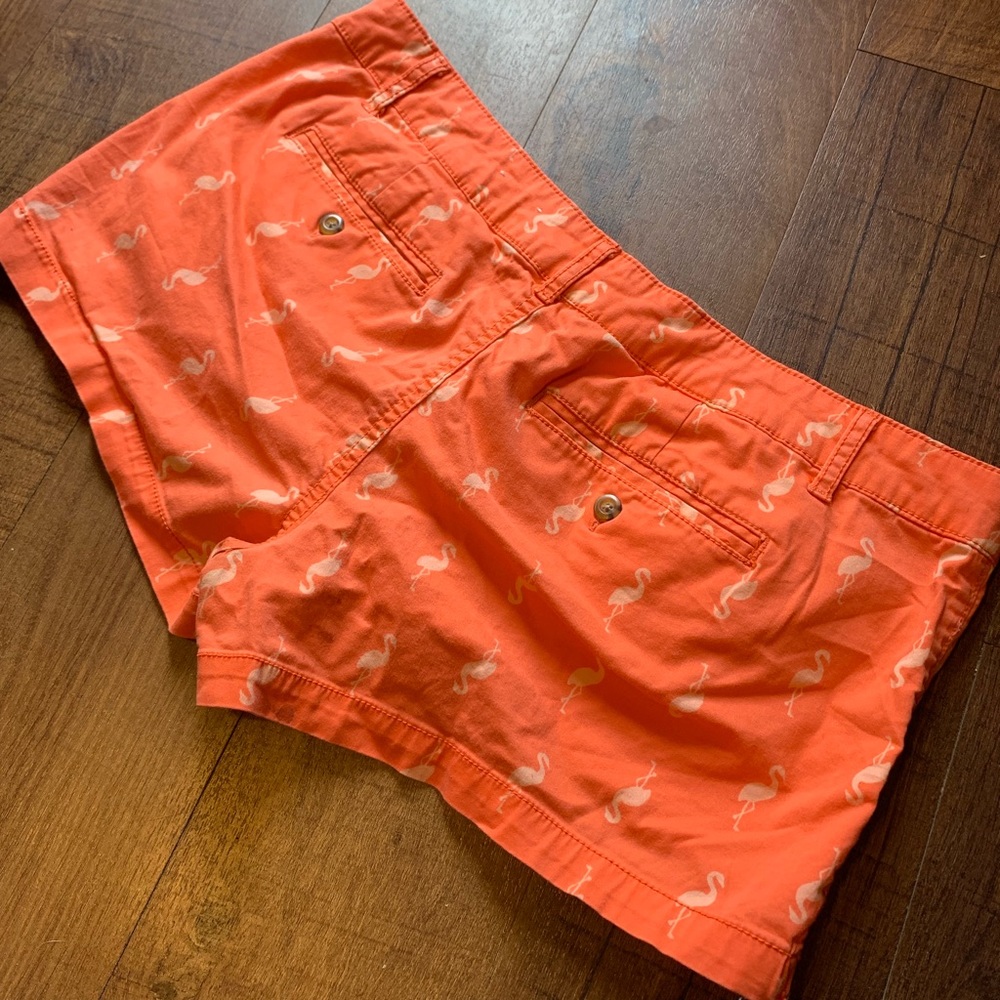 Flamingo Pattern Shorts - Picture 3 of 3